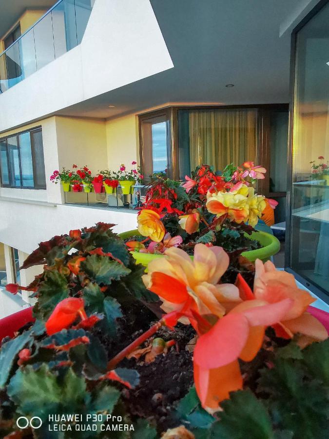 Luxury Apartments Alix 布尔加斯 外观 照片